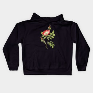 Wild Rose Flower Botanical Illustration Kids Hoodie